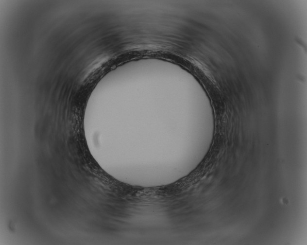 X0000091520967200709071013