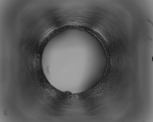 X0000091520968200709071013