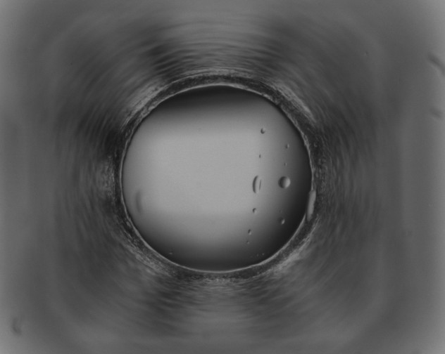 X0000091520969200709071013