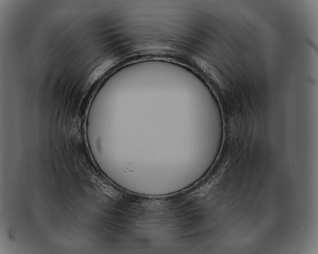 X0000091520970200709071013