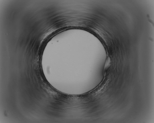 X0000091520971200709071013