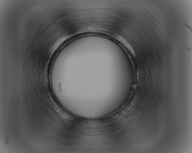 X0000091520972200709071013