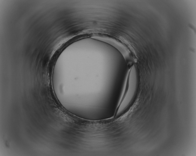 X0000091520973200709071013