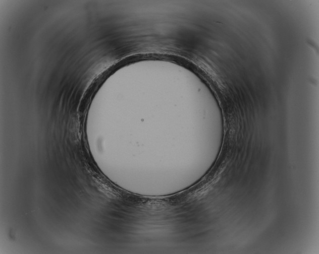 X0000091520974200709071013