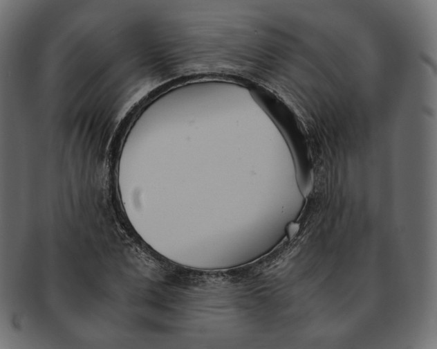 X0000091520975200709071013