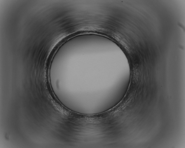 X0000091520976200709071013