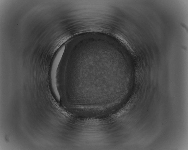 X0000091520977200709071013