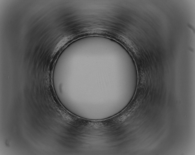 X0000091520978200709071013