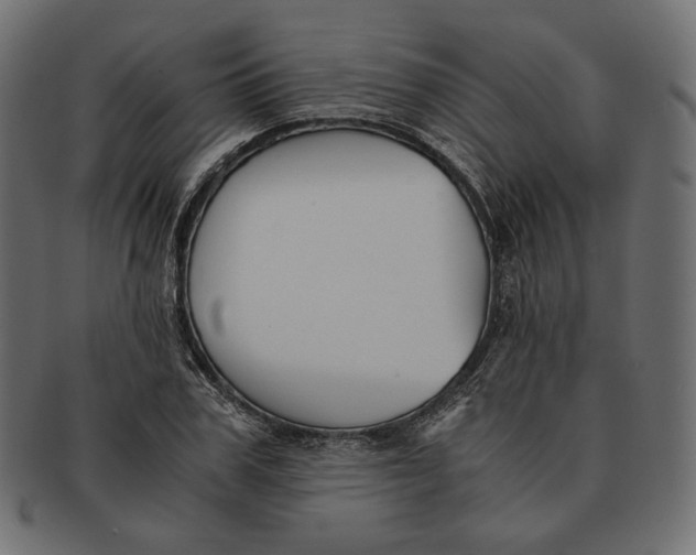 X0000091520979200709071013