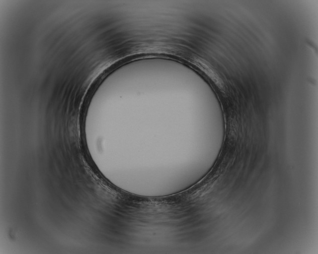 X0000091520980200709071013