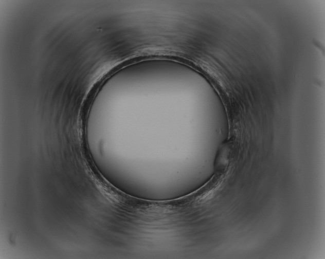 X0000091520981200709071013