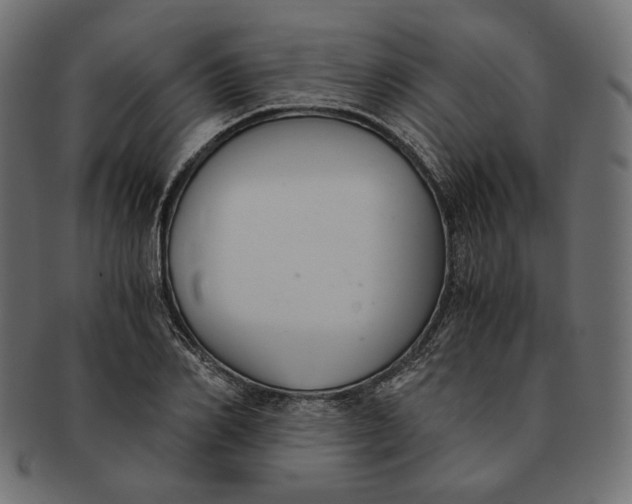 X0000091520982200709071013