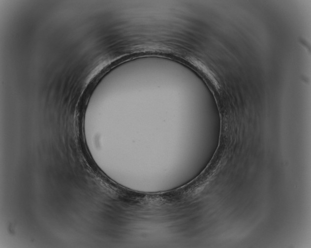 X0000091520983200709071013