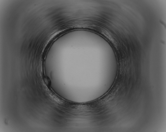 X0000091520984200709071013