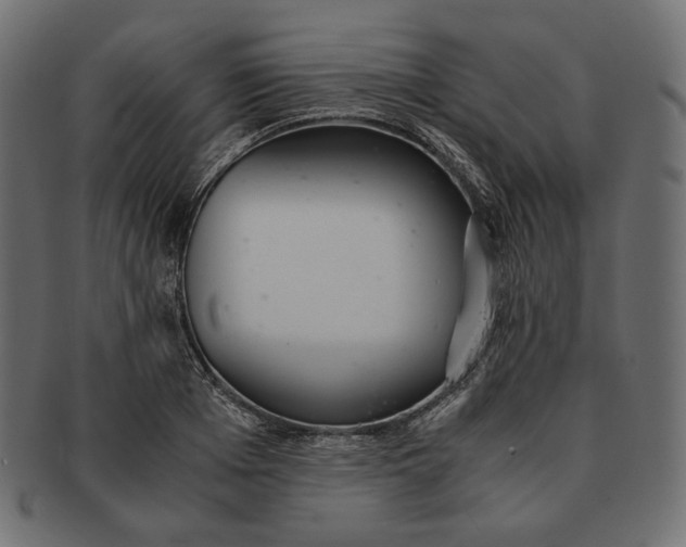 X0000091520985200709071013