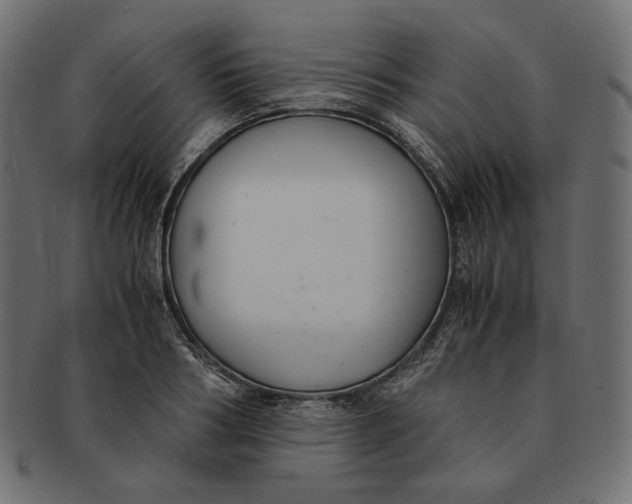 X0000091520986200709071013