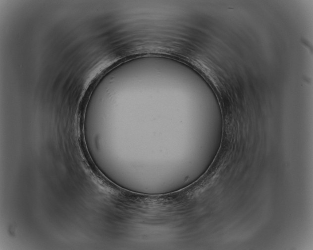 X0000091520987200709071012