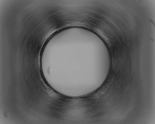 X0000091520988200709071012