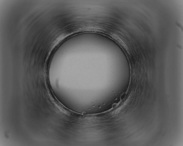 X0000091520989200709071012