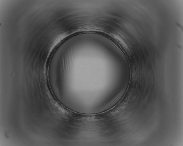 X0000091520990200709071012