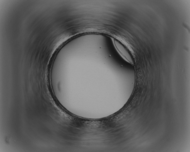 X0000091520991200709071012