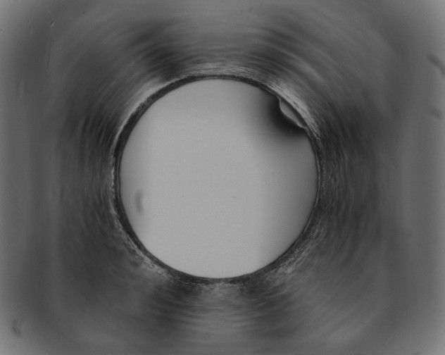 X0000091520992200709071012