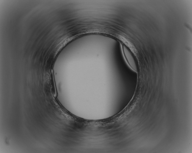 X0000091520993200709071012