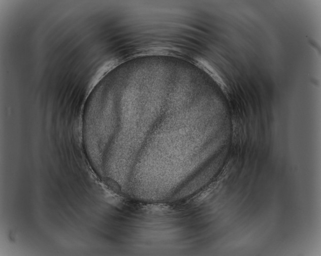 X0000091520994200709071012