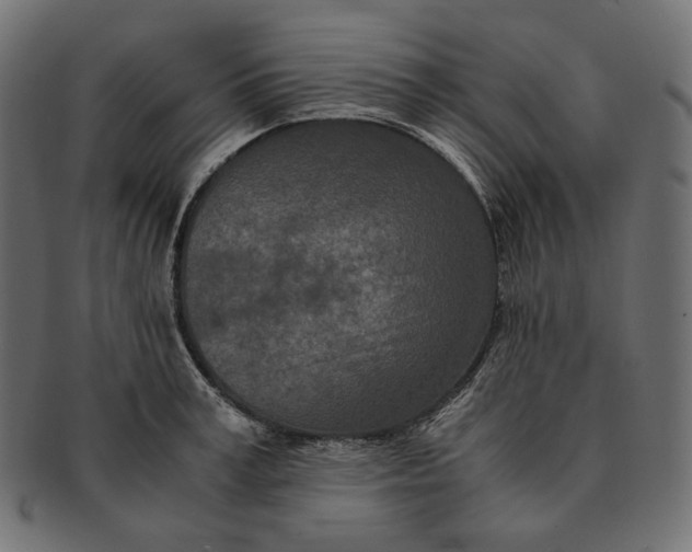 X0000091520995200709071012