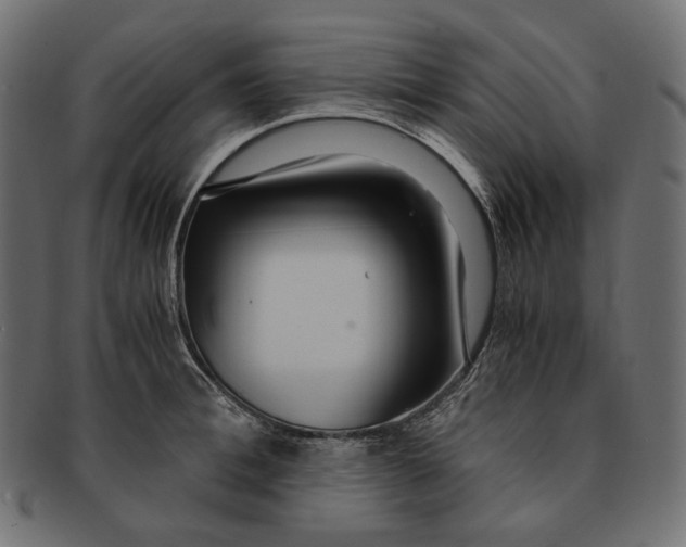 X0000091520996200709071012