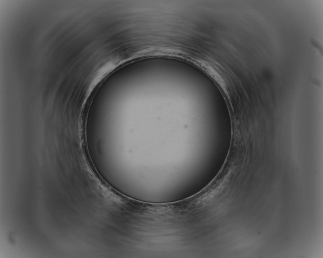 X0000091520997200709071012