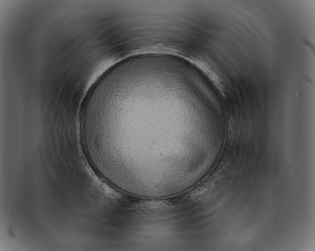 X0000091520998200709071012