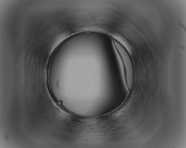 X0000091520999200709071012