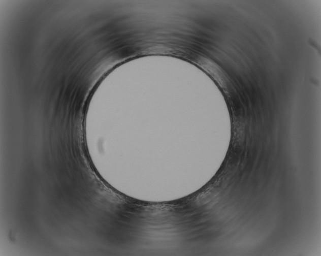 X0000091521000200709071012