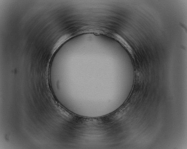 X0000091521002200709071012