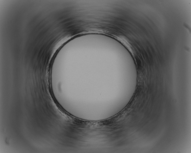 X0000091521003200709071012