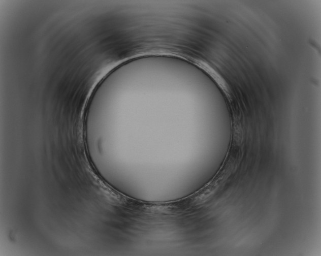 X0000091521004200709071012