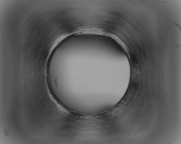 X0000091521005200709071012