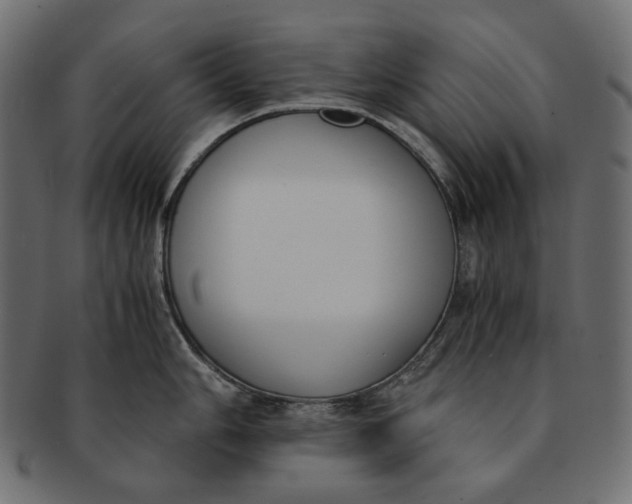 X0000091521006200709071012