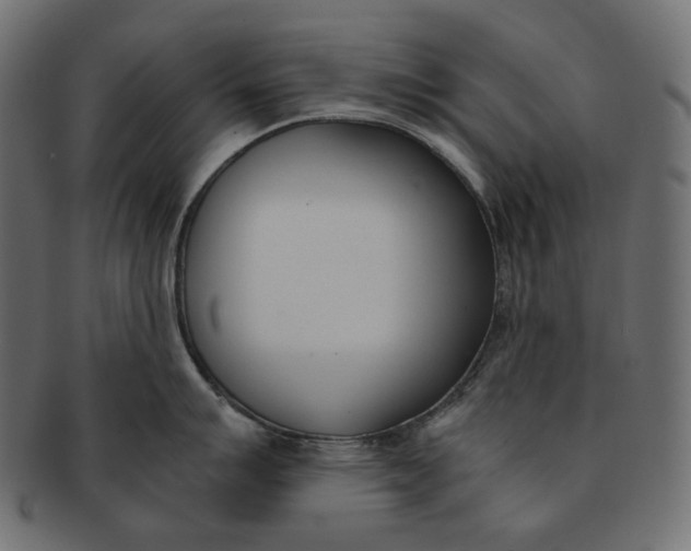 X0000091521007200709071012