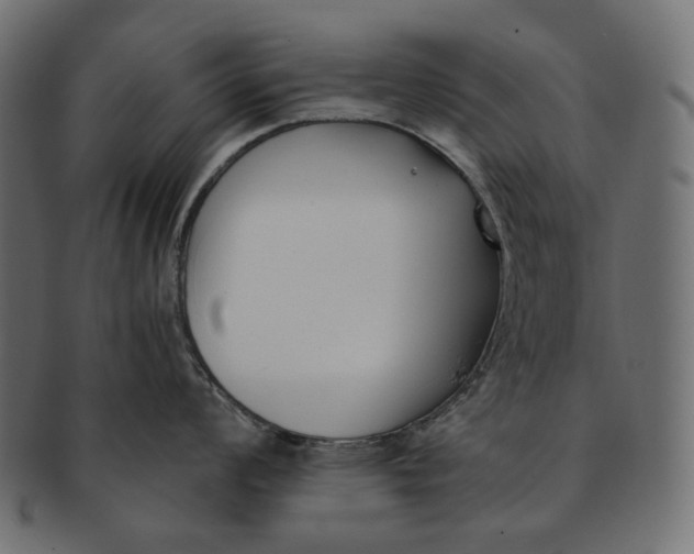 X0000091521008200709071012