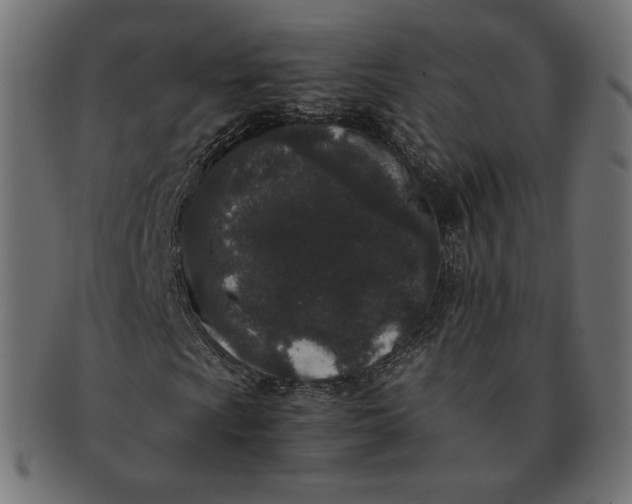 X0000091521009200709071012