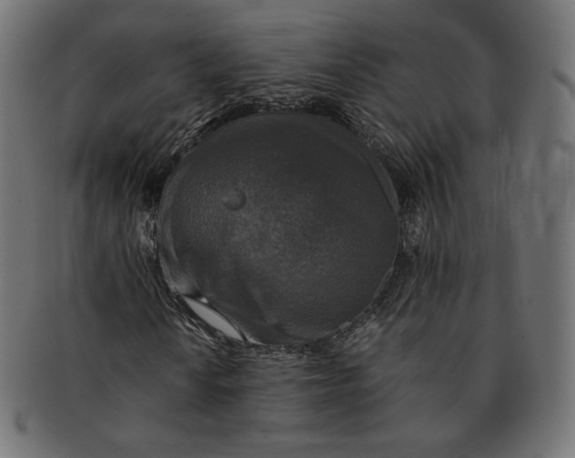 X0000091521010200709071012