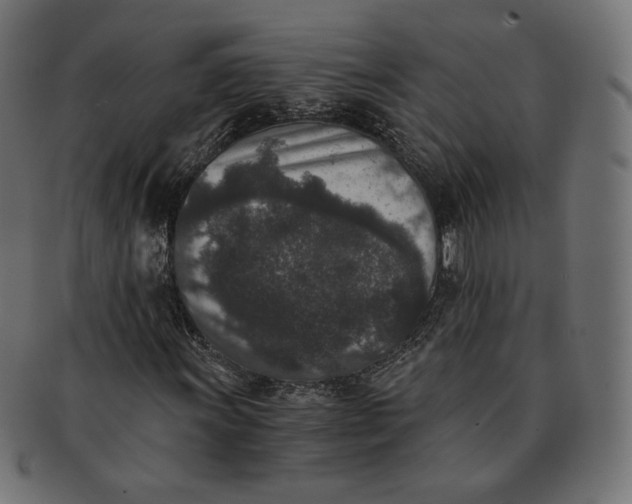 X0000091521011200709071012