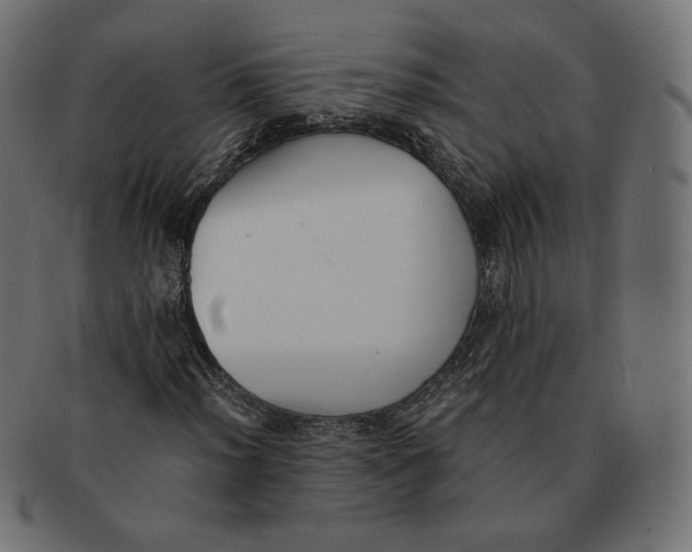 X0000091521012200709071012