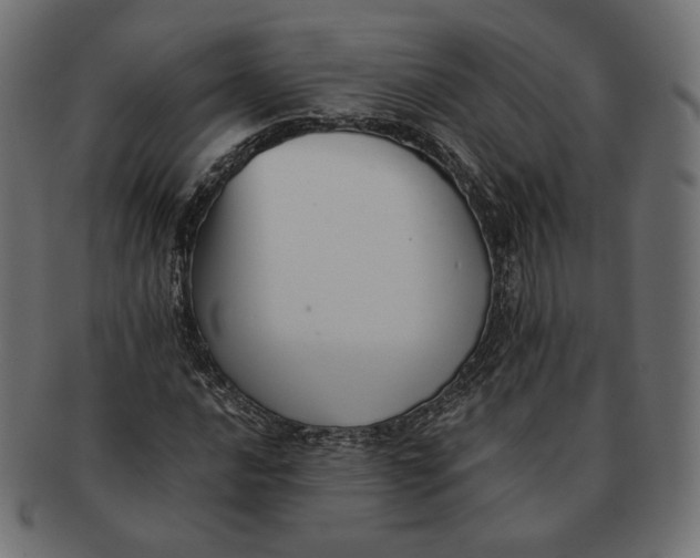 X0000091521016200709071012