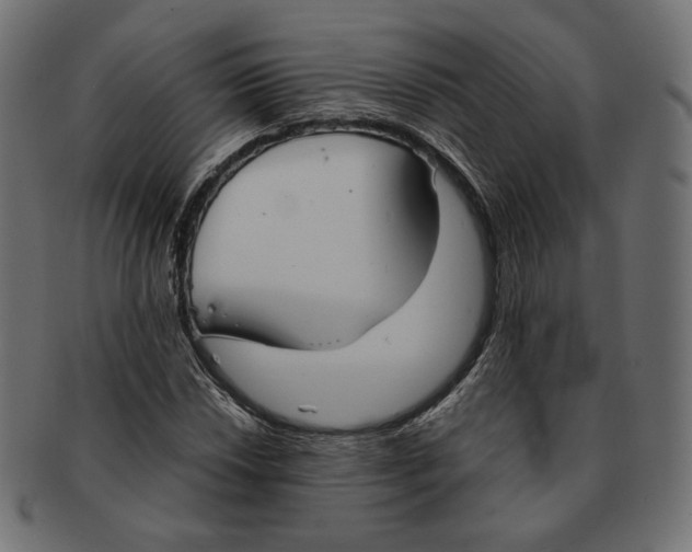 X0000091521018200709071012