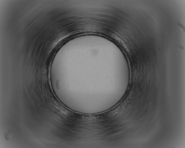 X0000091521019200709071012