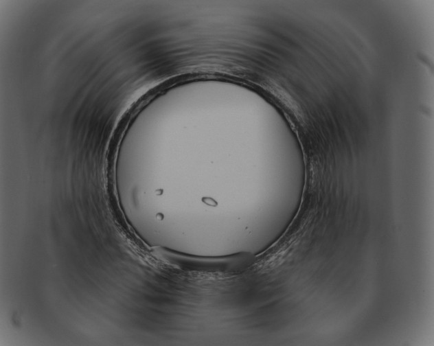 X0000091521020200709071012