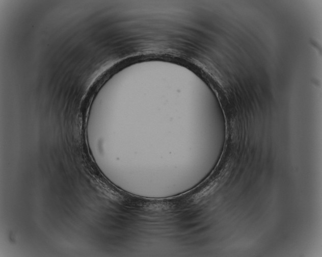 X0000091521021200709071012